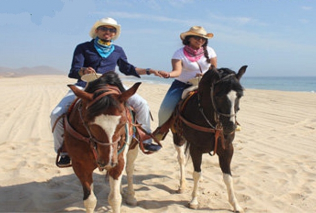 Un paseo bajo el sol